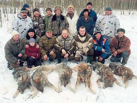 Идет борьба с волками в Калужской области