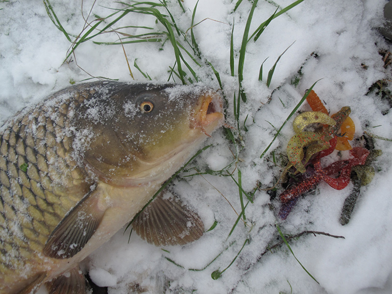 Зимний джиг и мирная рыба