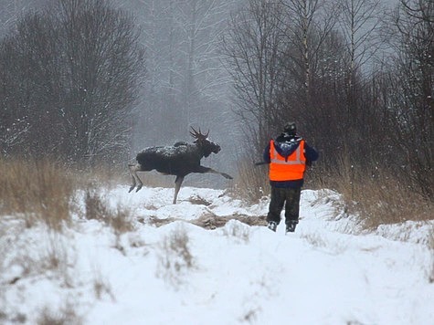 Кировская область продлила сроки охоты на лосей