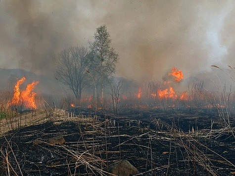 Дым над лесом: надо быть готовым