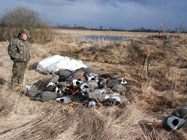 Белоруссия совершенствует охотничье законодательство