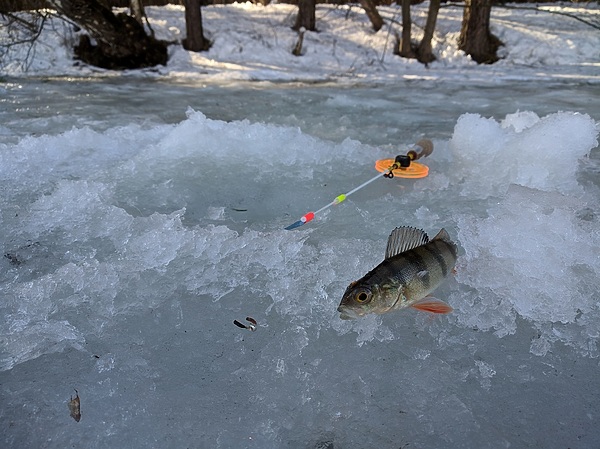 Поучительные эпизоды зимней рыбалки